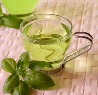 Фотообои Чашка зеленого чая