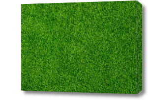 Картина зеленый газон